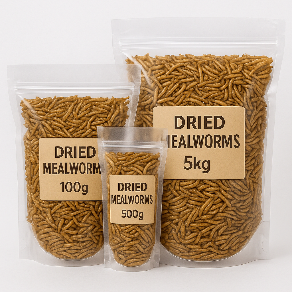 Dried Mealworms