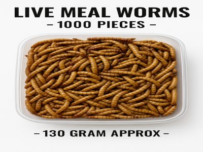 Live mealworms 1000 pieces