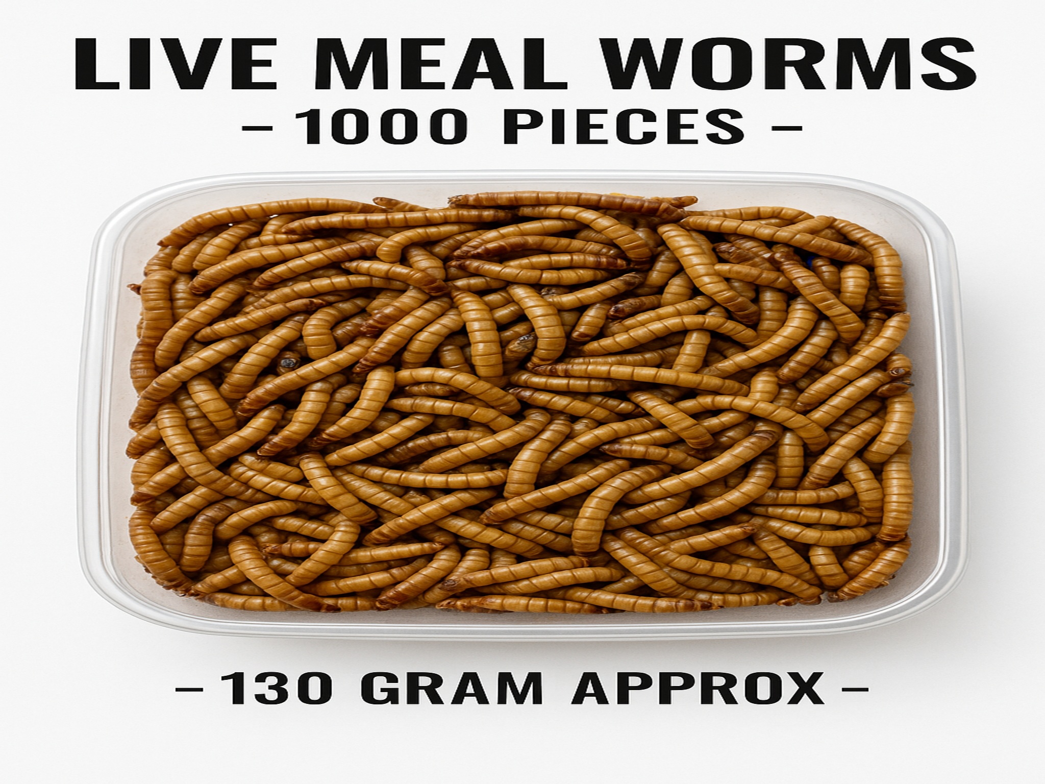 Live Mealworms – 1000 Count Pack