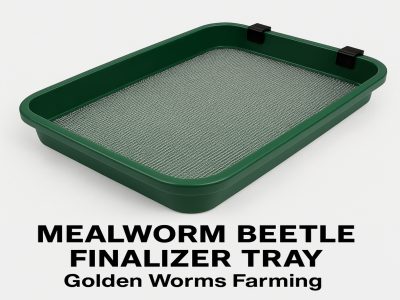 Golden Worms Farming beetle finalizing tray