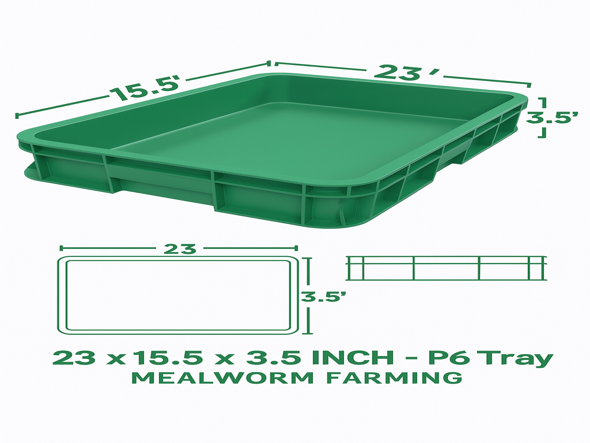 P6 Tray for Mealworm Farming